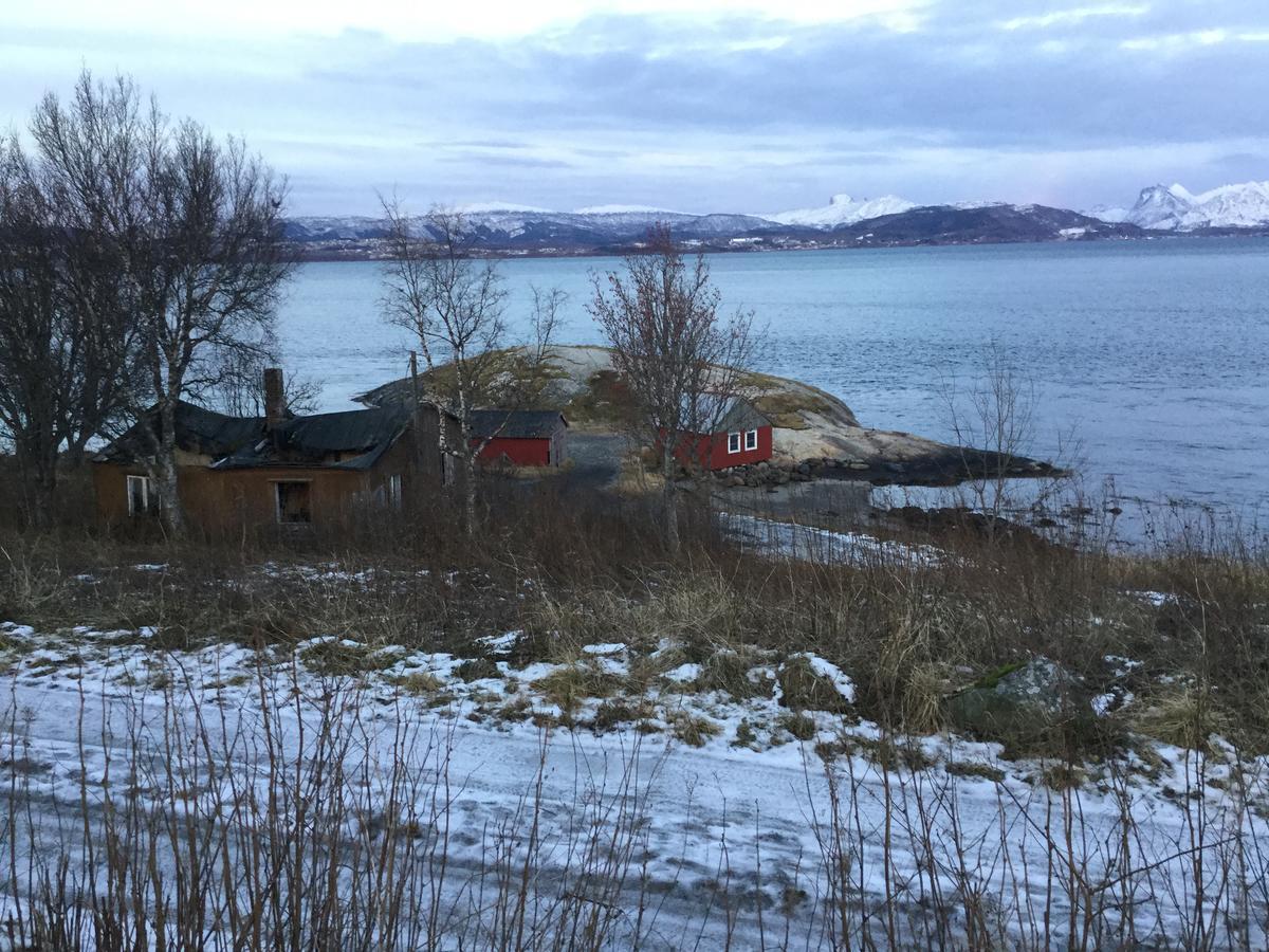 Hotel Camp Saltstraumen-Elvegard Bodø Exterior foto