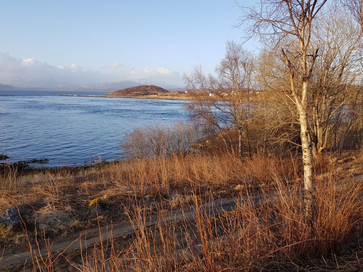 Hotel Camp Saltstraumen-Elvegard Bodø Exterior foto